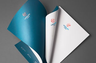 長帆集團企業形象設計與國內貿易代理服務的整合策略